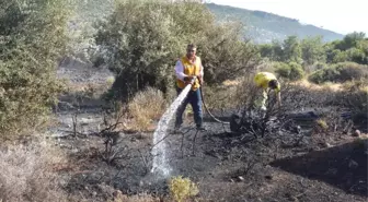 Çanakkale'de Makilik Yangını