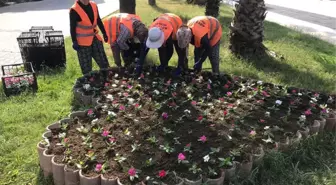 Köyceğiz'de Mevsimlik Çiçek Dikimi