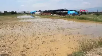 İzmir Sağanak Yağmur Ödemiş'in Kırsal 4 Mahallesinde Taşkınlara Neden Oldu