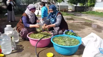 Sofraların Vazgeçilmezi Cağ Bitkisine Büyük İlgi