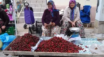 Çanakkale'de Kiraz Üreticisi Endişeli