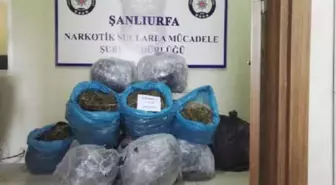 Minibüste 121 Kilo Esrar Ele Geçirildi