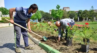 Yıldırımın Parkları Çiçek Açıyor