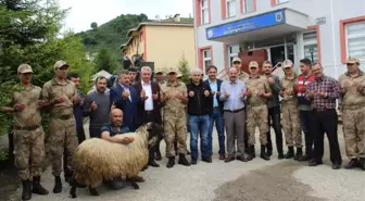 Giresun'da Öldürülen Teröristlerin Ardından Operasyonlar Sürüyor