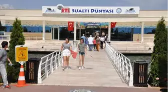 Sualtı Dünyası'na Ziyaretçi Akını