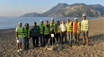 Deniz Kaplumbağaları İçin Sahillerde Çadır, Ateş ve Eğlence Yasaklandı