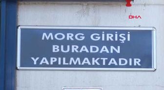 Denizli Koreli Turist, Pilot Hatası Sonucu Ölmüş