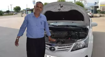 Otomobilin Motorundaki Yavru Kediler Kurtarıldı