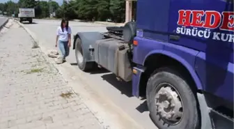 Burdur Üniversiteli Merve, İtfaiyeci Olmak İçin Kamyon Ehliyeti Aldı