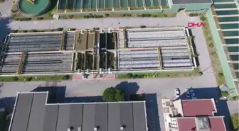 Bursa'nın İçme Suyu Bu Balıklara Emanet