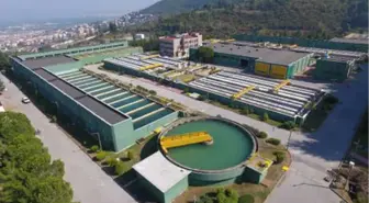 Bursa'nın İçme Suyu Bu Balıklara Emanet