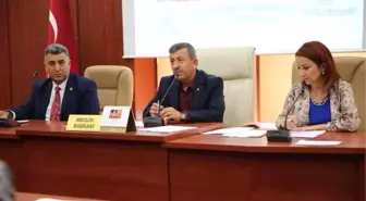 Darıca'da Askeri Alan 'Millet Bahçesi' Oluyor