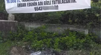 Hırsızı Yakalatana 20 Bin TL Verecek