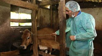 Artvin'de Karantinadaki 5 İlçede Aşılama Çalışması