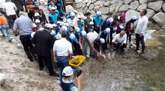 Kırmızı Benekli Alabalıklar Öğrencilerin Elinden Suya Kavuştu