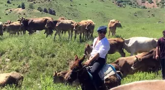 Nusret Bu Kez de Eşeğe Binme Görüntüleriyle Sosyal Medyayı Salladı