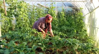 Pazarcı Safiye; Milletvekilliği İçin Bağımsız Aday Oldu