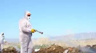 Çorum Belediyesi'nde Vektörel Mücadele Mesaisi