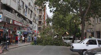 İzmir'deki Şiddetli Rüzgar Pazar Tezgahlarını Yıktı (2)