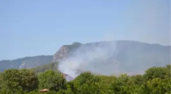 Muğla'da Yerleşim Yeri Yakınında Orman Yangını (2)