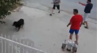 Kuşadası'nda Köpeğe Tüfekli Saldırıya Tepki