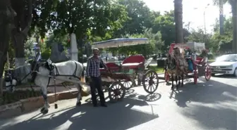 Mudanya'da Nostaljik Fayton Sefâsı