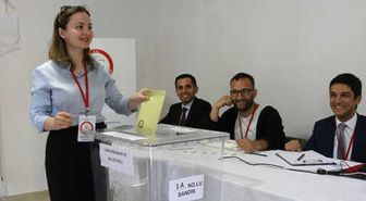 Yurt Dışında ve Gümrüklerde 1 Milyon 227 Bin Seçmen Oy Kullandı