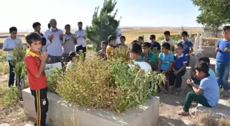 PKK'lı Teröristlerin Katlettiği Köylülerin Yakınlarından Tepki