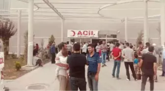 Fırat Nehri'ne Giren 2 Kuzen Boğuldu
