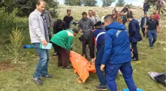 Isparta'da Yıldırım Düştü; Ağaç Altındaki Çoban Öldü