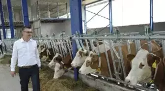 Eskişehir'e Modern Süt Tesisleri Kuruluyor