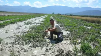 Korkuteli'nde Yaz Yağmuru Sele Döndü