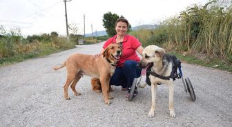 Toplanan Bağışlarla Sakat Kalan Köpeğe Yürüteç Aldı