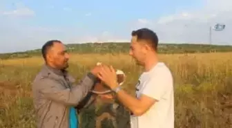 Taş Zannetti, Dev Mantar Çıktı