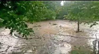 Dolu Yağışı Tarım Arazilerine Zarar Verdi