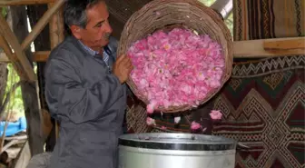 Gülün Gülsuyu ve Gülyağına Giden Zahmetli Yolculuğu