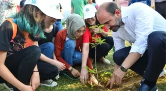 İdeal Gençlik'ten Geleceğe 254 Fidan