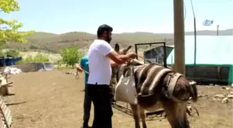 14 Yaşındaki Berdan'ın Lgs Başarısı Dikkat Çekti