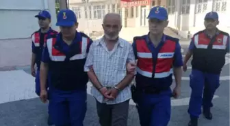 14 Yaşındaki Çocuk, Kayıp Tavuğu Ararken Yaşlı Sapığın Tacizine Uğradı