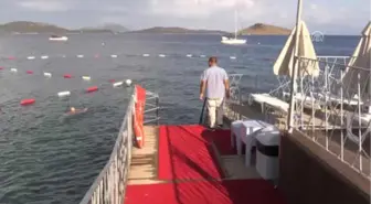 Bodrum'da Ölü Yunus Sahile Vurdu