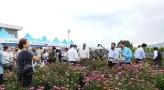 Balıkesir Aromatik Bitki Üretim ve Eğitim Merkezi Oldu