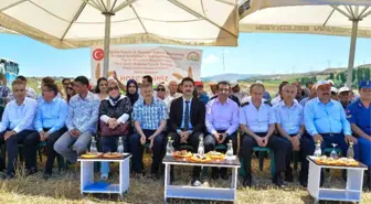 Kocasinan'da Şanlı Buğday Çeşidi Tarla Günü