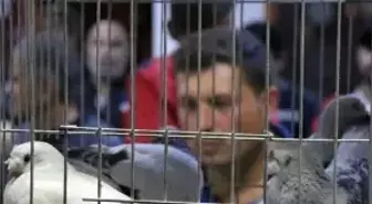 Otomobil Fiyatına Güvercin