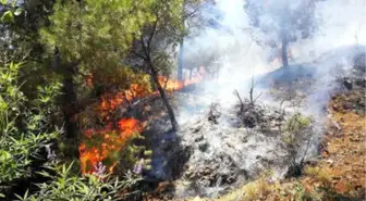 Anamur'da Orman Yangını