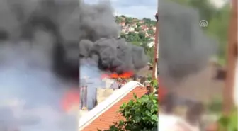 Beykoz'da Yangın (4)