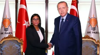 Erdoğan, Venezuela Cumhurbaşkanı Yardımcısı ile Görüştü