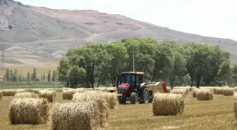 Fiğ Balyalarının İlginç Görüntüsü