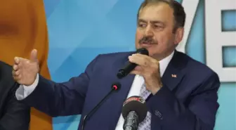 Hdp'yi Meclise Soktu Ama Kendisi Kaybetti'