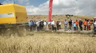 Tosunpaşa Arpa Çeşidi Akyurt'ta Tanıtıldı