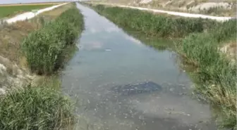 Düğün Yolunda Kaza: 3'ü Çocuk, 9 Yaralı